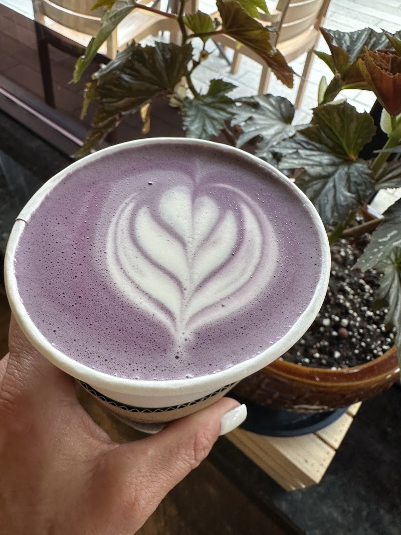 Viator Coffee Co photo 4