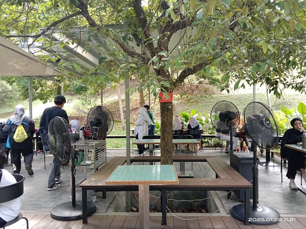 The Glasshopper - Photo 1