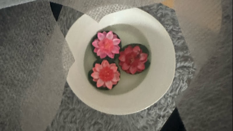 Annie Beauty Therapist