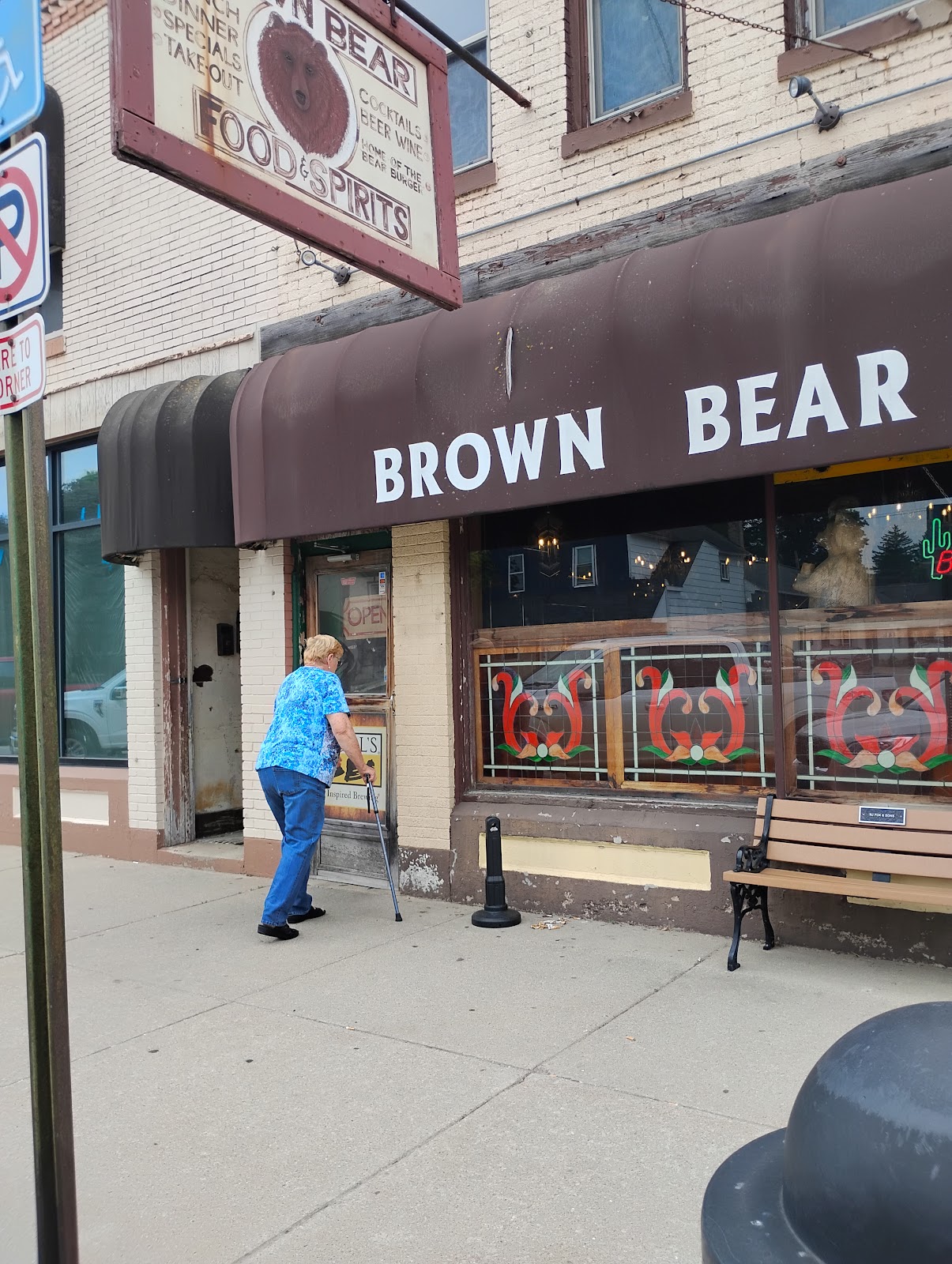 Brown Bear 3
