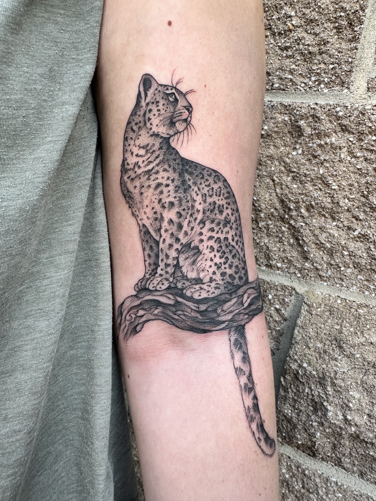 Mourning Dove Tattoo tattoo work — photo 3