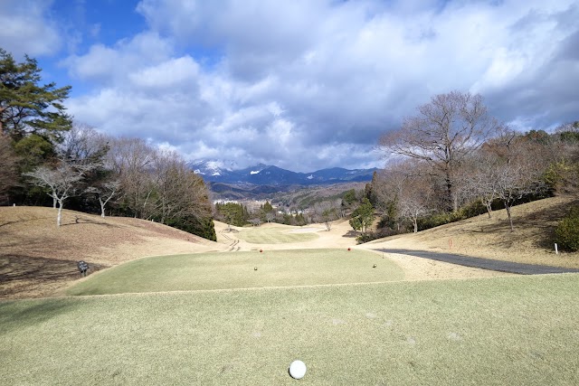 Sakushu Musashi Country Club - Photo 9