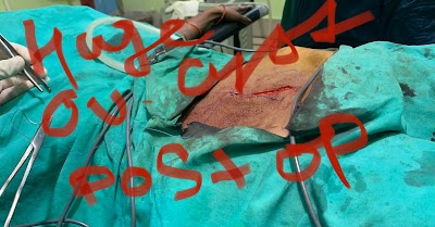 THE HOSPITAL PLUS