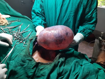 THE HOSPITAL PLUS - Image 3