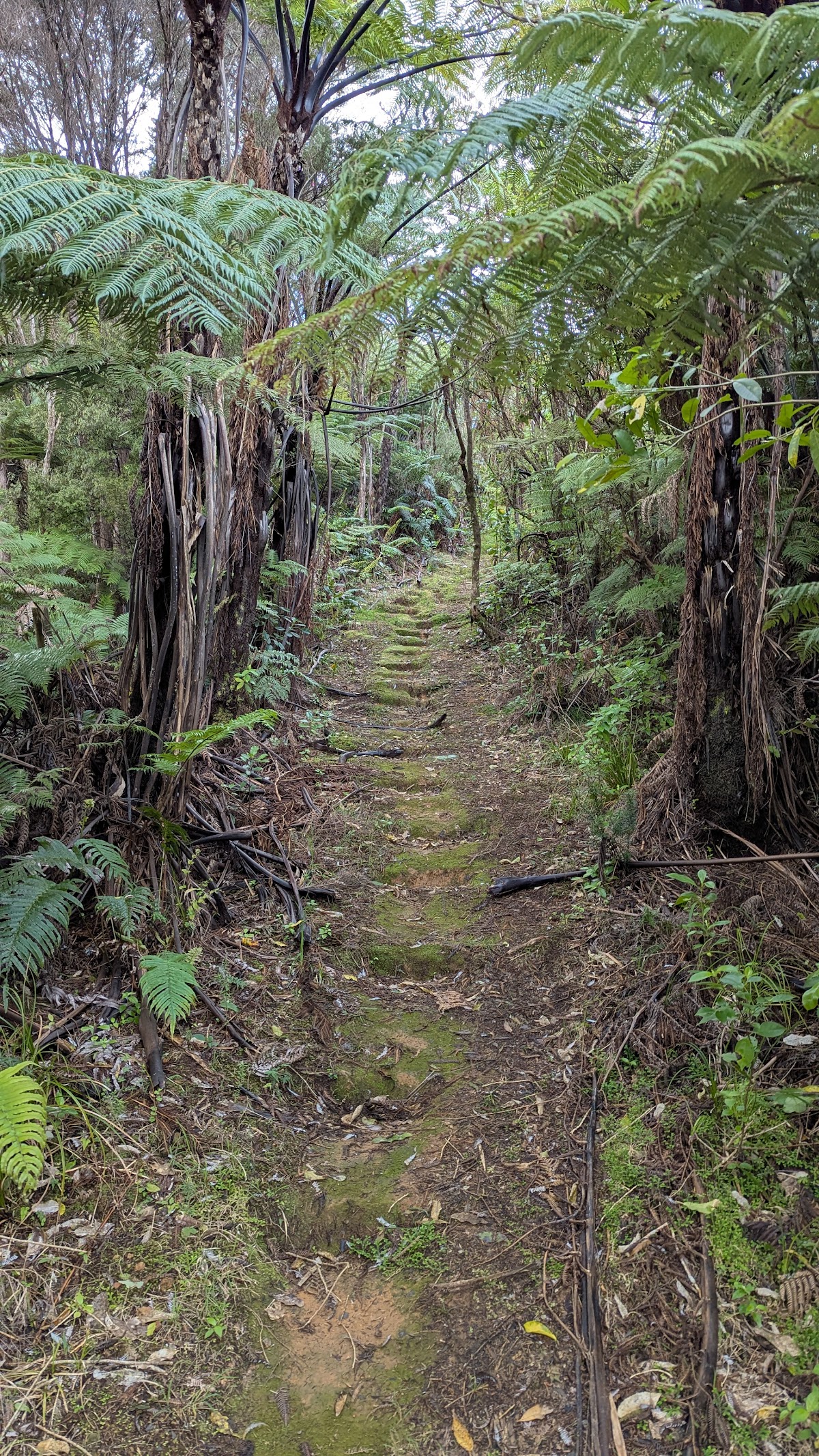 Sudarshanaloka Retreat Centre — 3