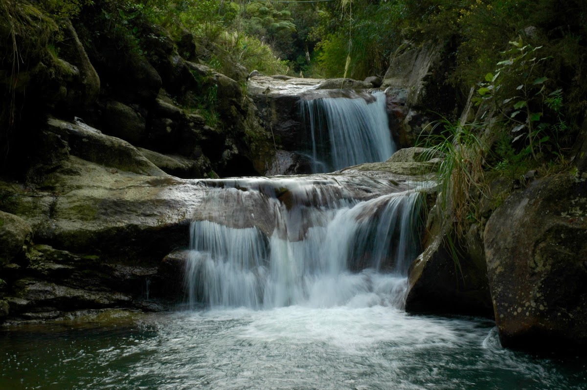 Sudarshanaloka Retreat Centre — 4