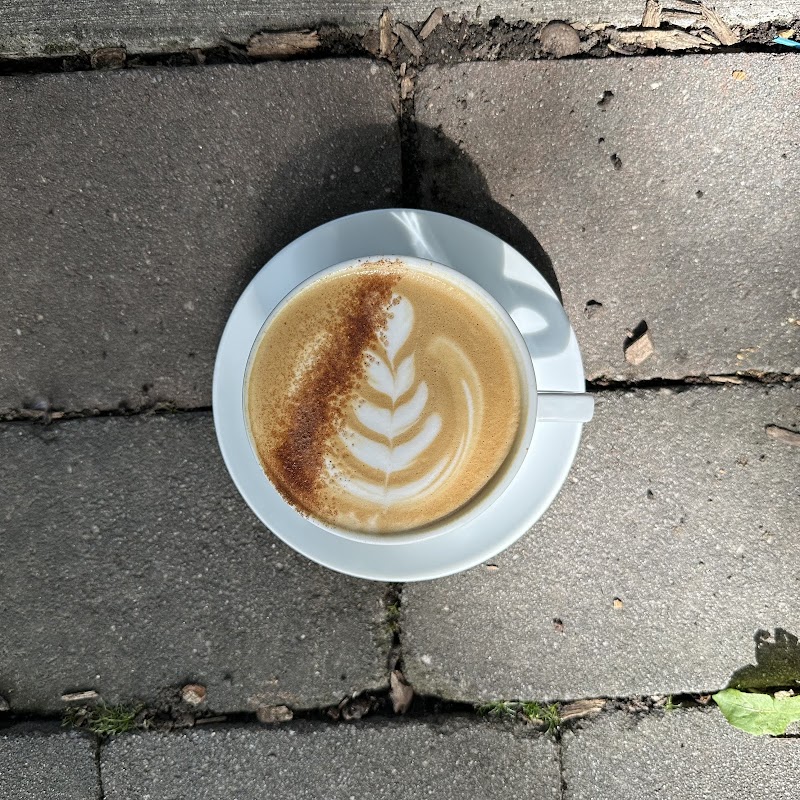 Alabaster Coffee Roaster & Tea Company photo 3
