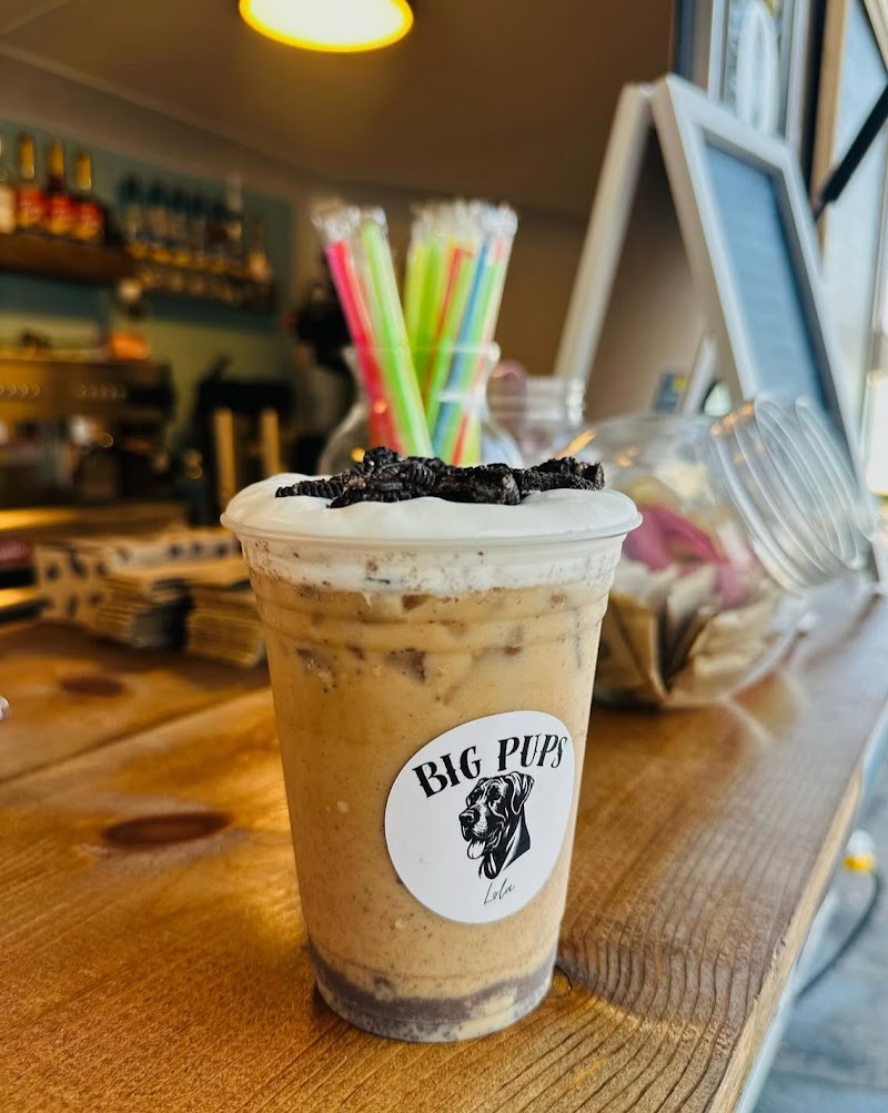 Big Pups Coffee Company photo 2