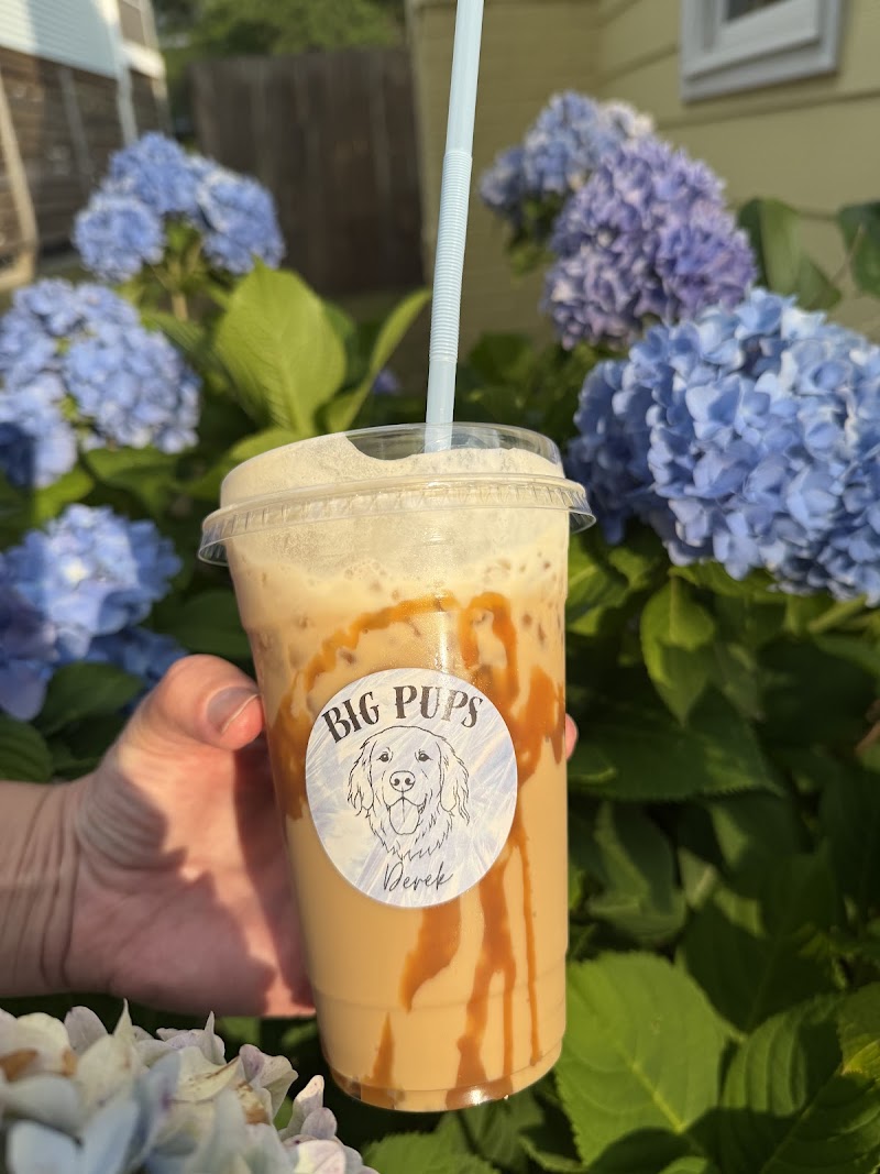 Big Pups Coffee Company photo 4