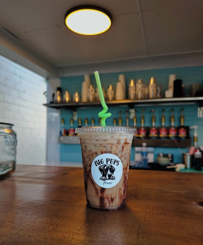 Big Pups Coffee Company photo 1