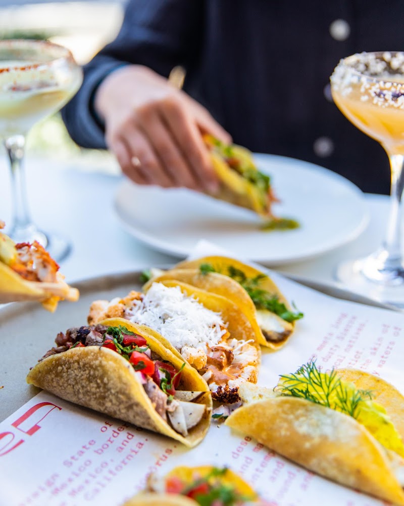 Sonora Mexican Restaurant and Bar Potts Point photo 7