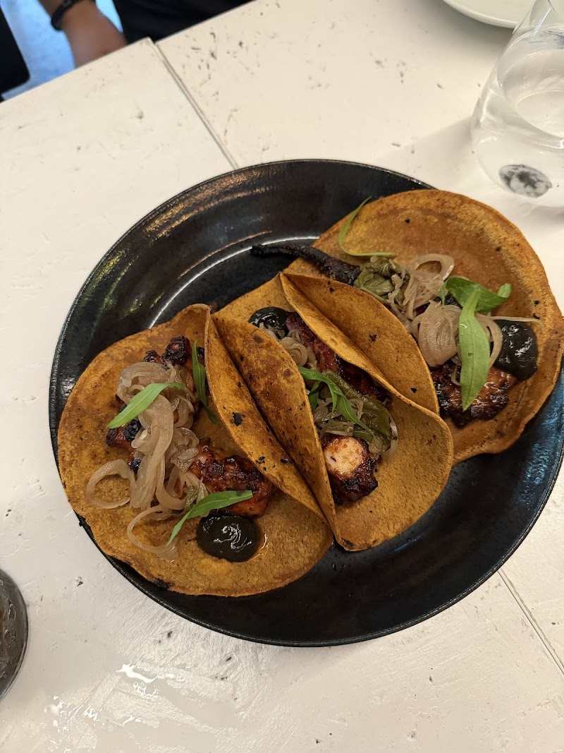 Sonora Mexican Restaurant and Bar Potts Point photo 8