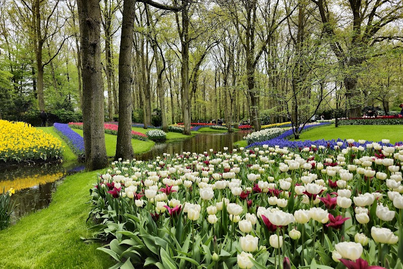 Keukenhof
