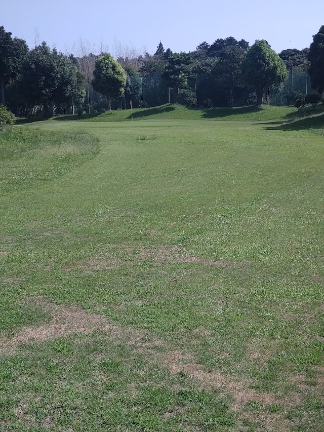 Nishiyama Golf Center - Photo 10