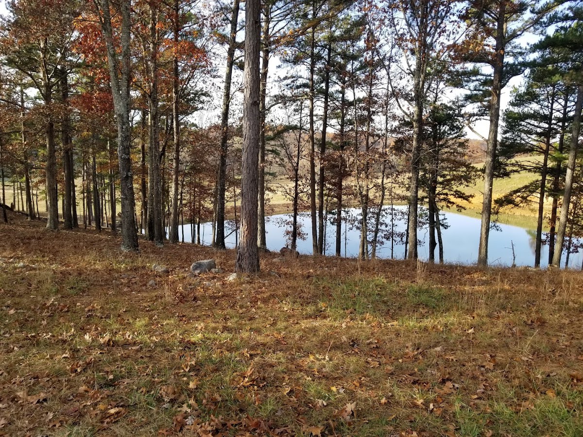 Piney Ridge Ranch