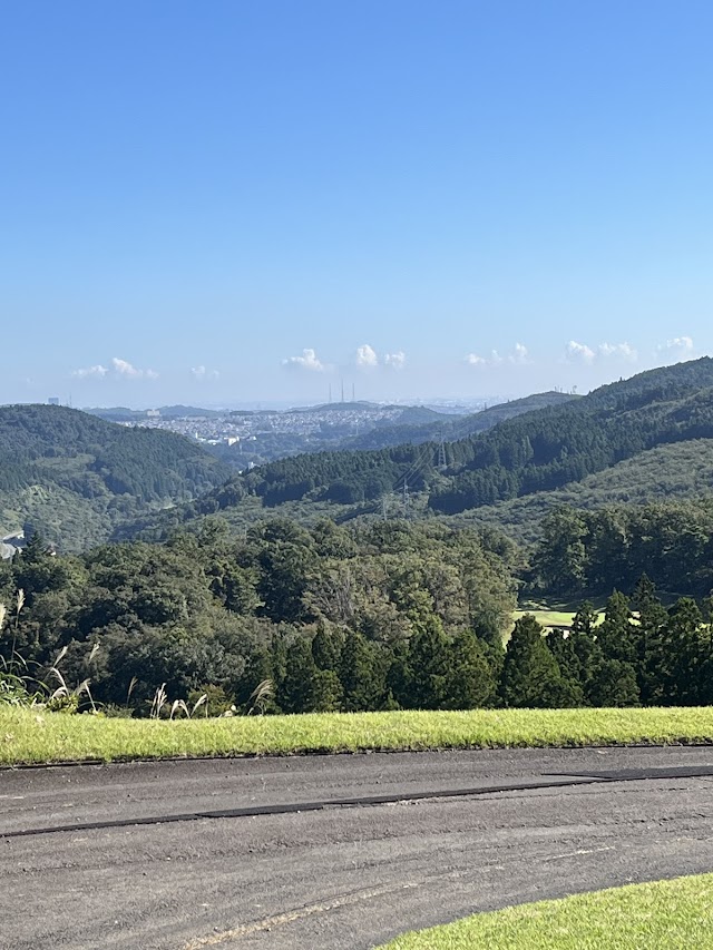 Grace Ridge Country Club - Photo 3