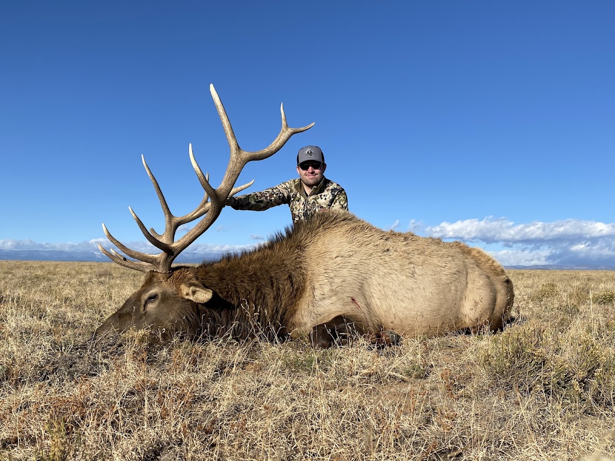 Bucks & Bulls Guides & Outfitters