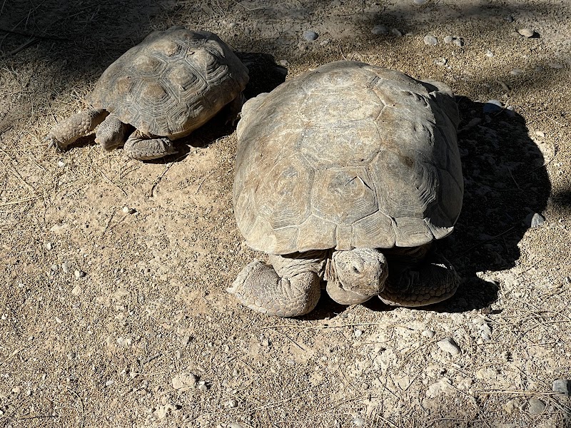 Gilcrease Nature Sanctuary - Photo 4