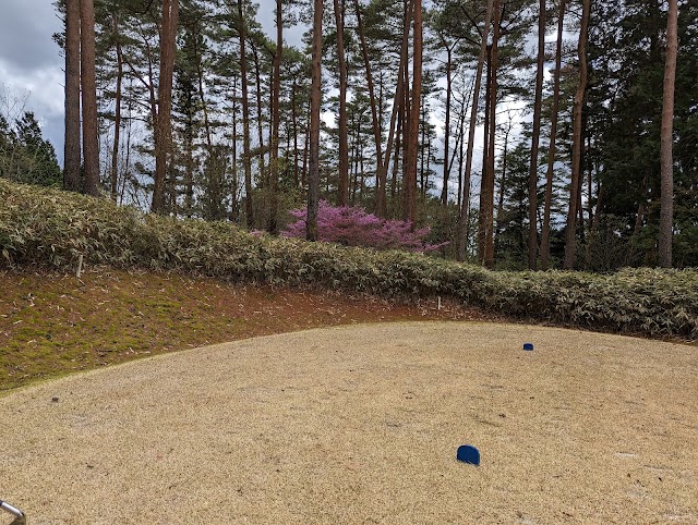 Fourteen Hills Country Club - Photo 8