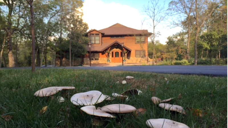 Timber Creek Retreat House