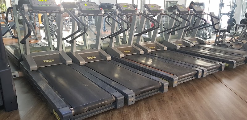 Selection Fitness Club