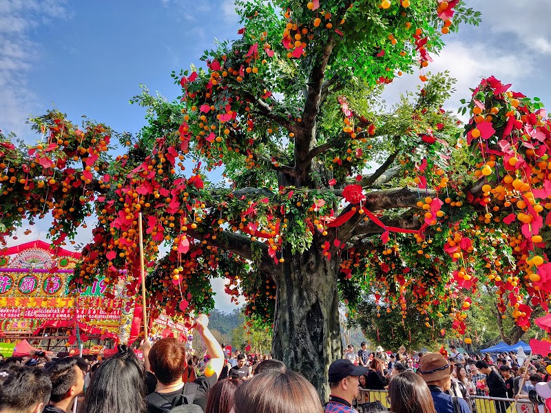 Lam Tsuen Wishing Tree