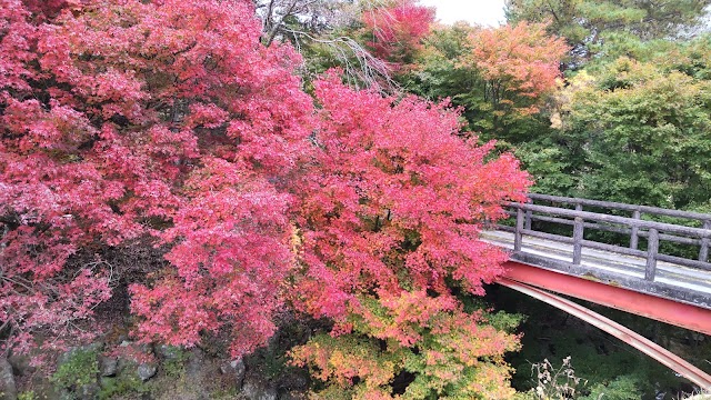 Kamo Golf Club (Aichi Prefecture) - Photo 6