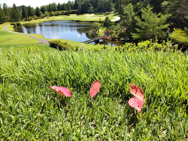 Kamo Golf Club (Aichi Prefecture) - Photo 7