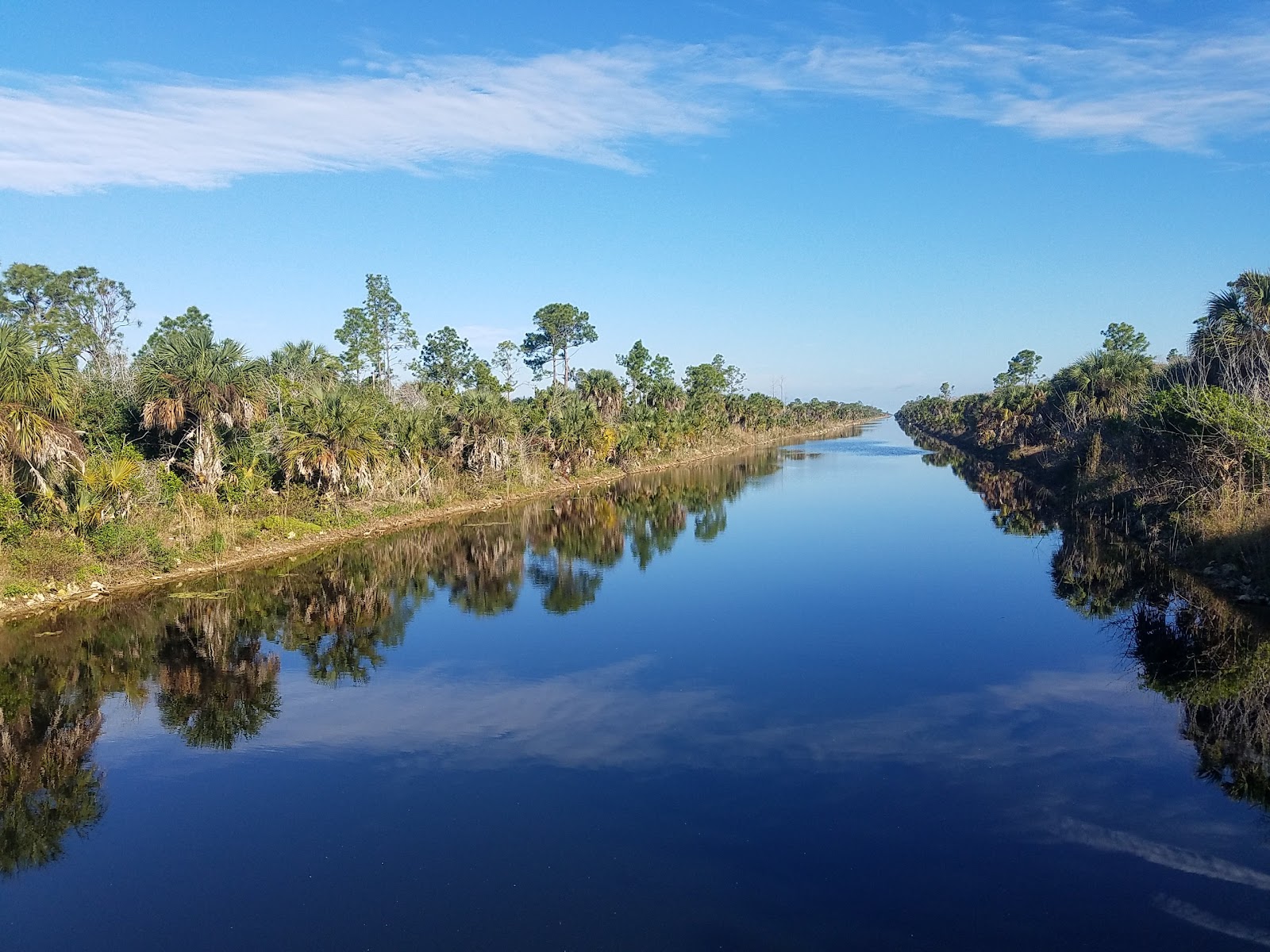Picayune Strand State Forest