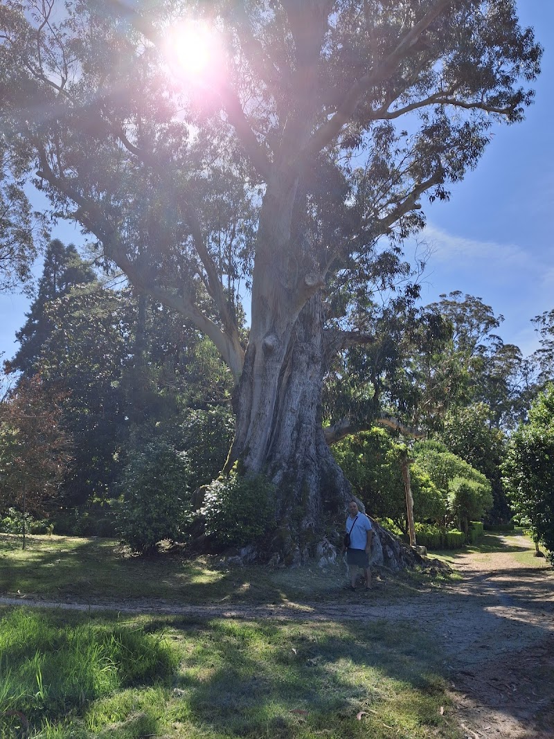 Pazo de Rubianes photo 5