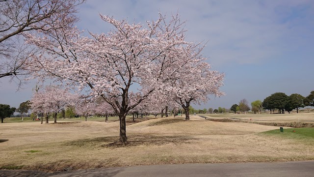 Clear View Golf Club & Hotel - Photo 7