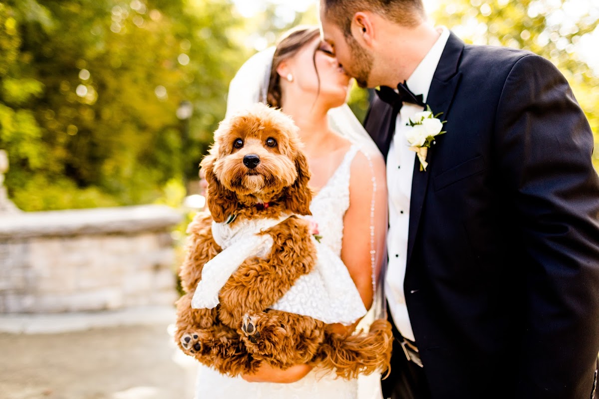 Caitlin and Luke Photography: Google Places image 5