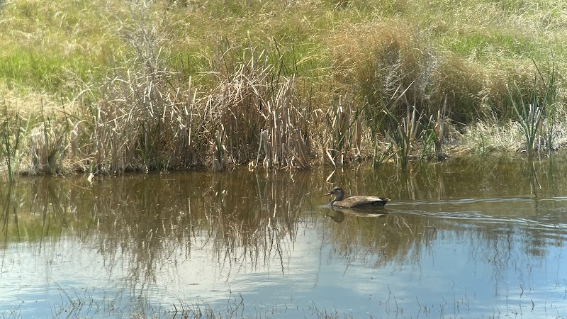 Stillwater National Wildlife Refuge - Photo 4