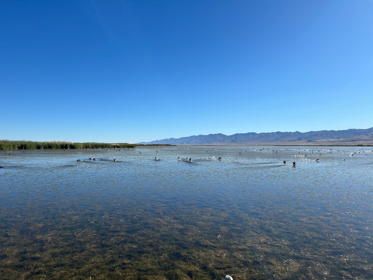 Stillwater National Wildlife Refuge
