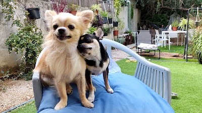 פנסיון לקטנים בשכונה תל אביב