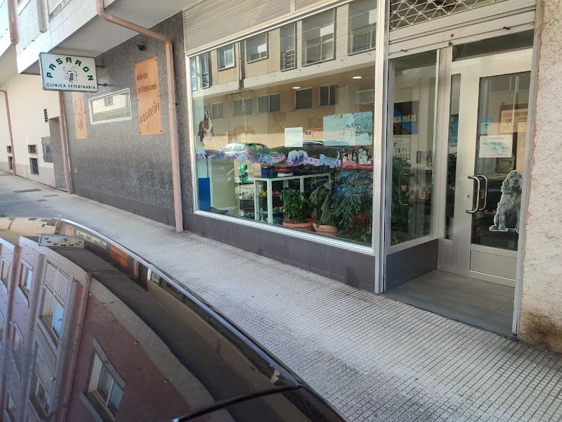 Centro Veterinario Pasaron photo 2