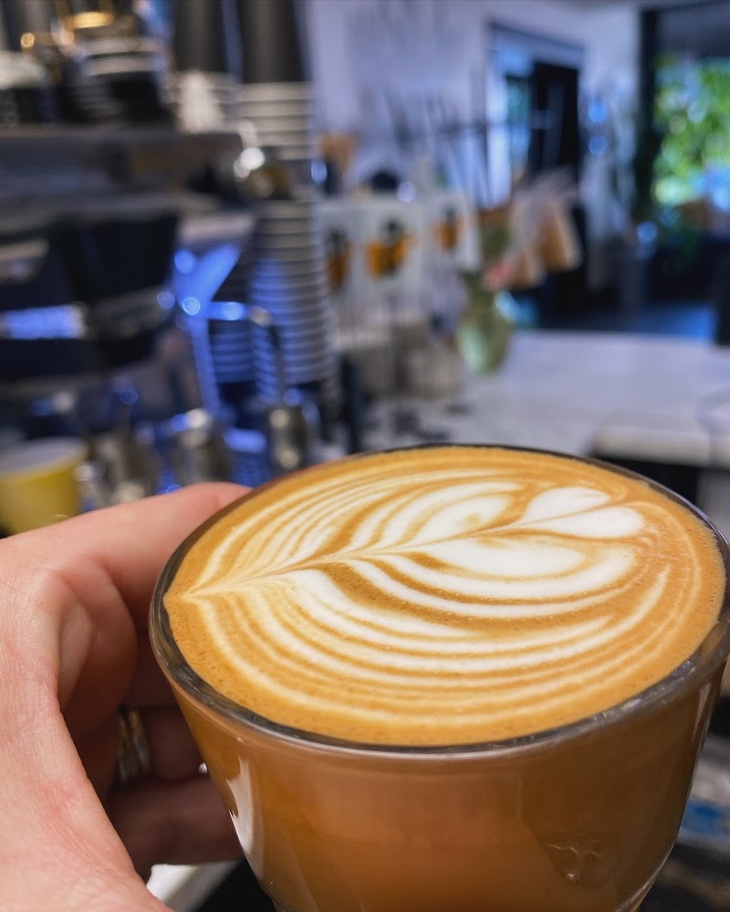 The Sacred Bean photo 3