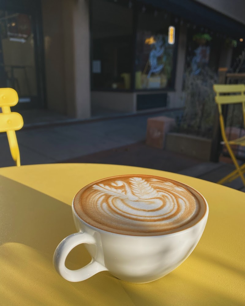 The Sacred Bean photo 2