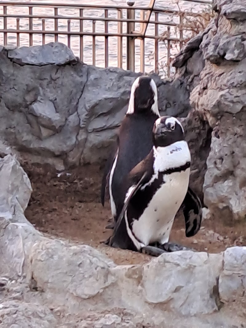 CENTRO VETERINARIO CANTABRIA