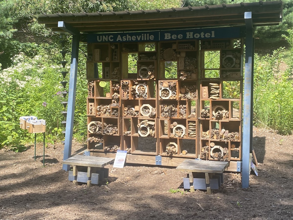 North Asheville Tailgate Market