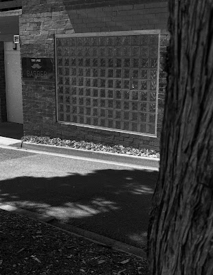 The Lane Barber photo 3