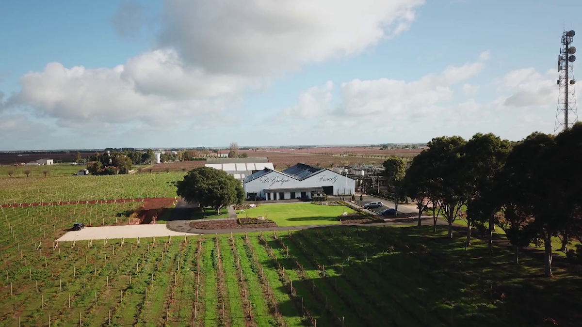 DiGiorgio Family Wines