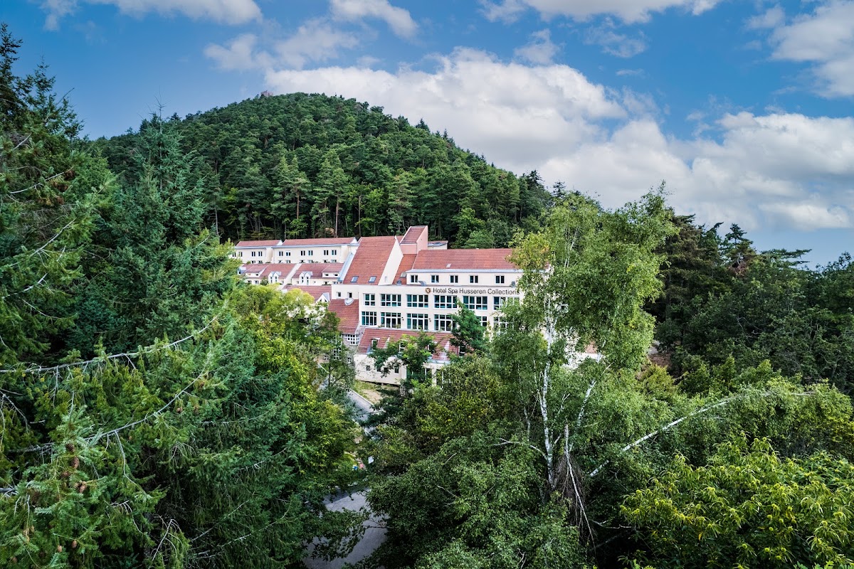 Château d'Isenbourg & Spa, dog-friendly hotel in Colmar