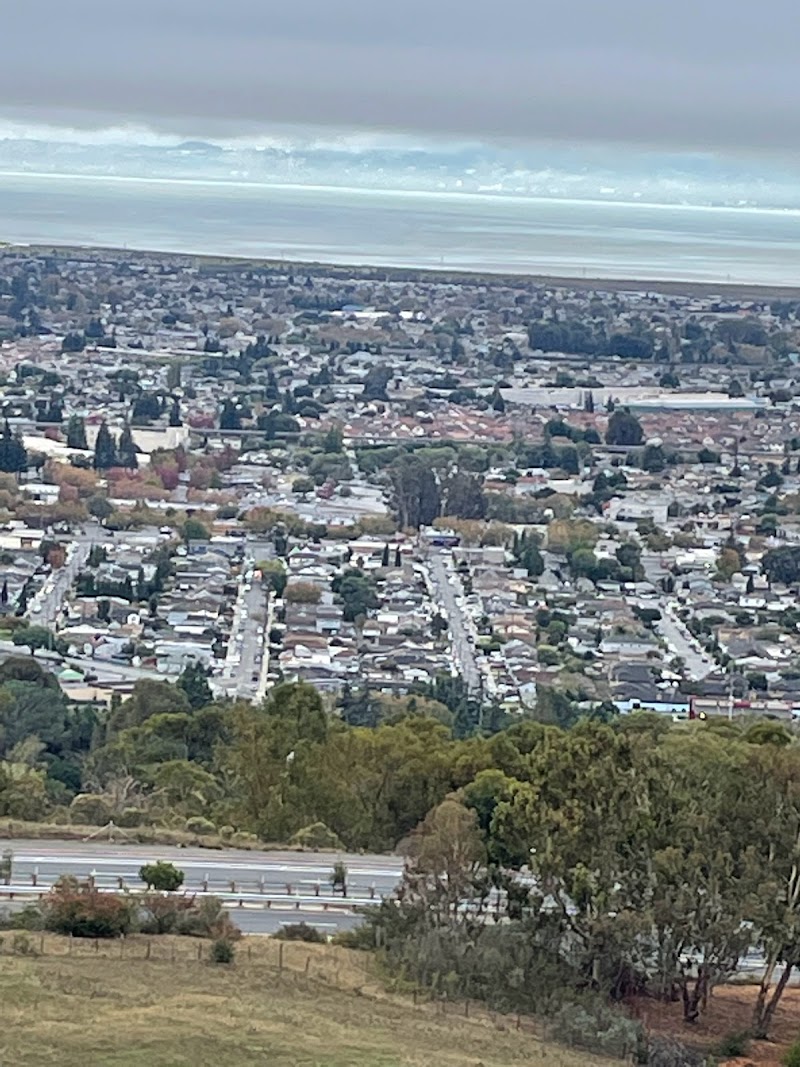 Chabot Park photo 4