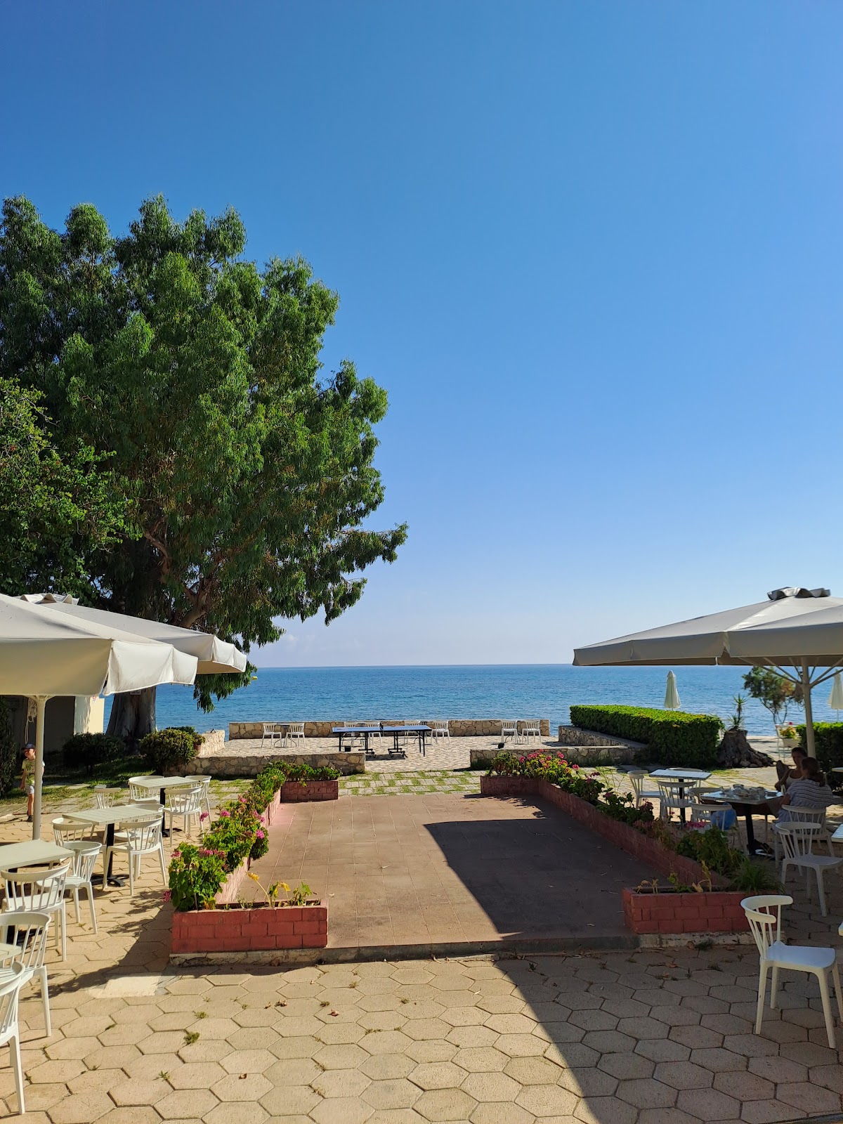 Mimoza Beach, dog-friendly hotel, photo 5