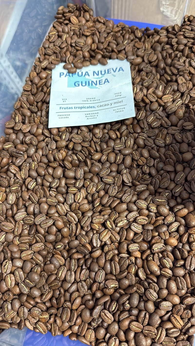 CV Animalia Bellavista