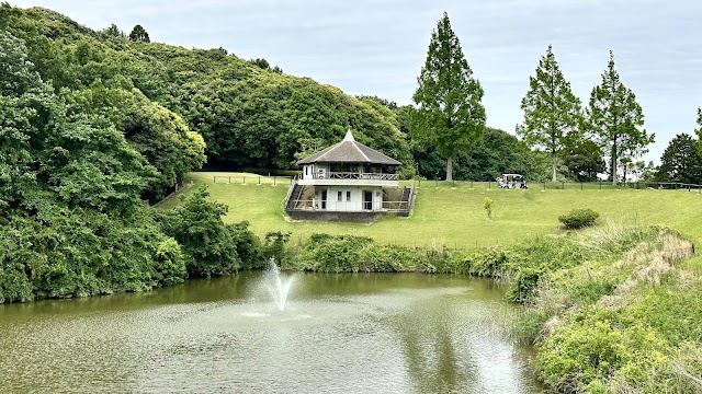 North Shore Country Club - Photo 6