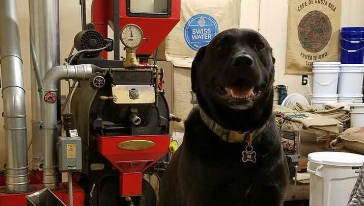 The Black Dog Coffee Company photo 3