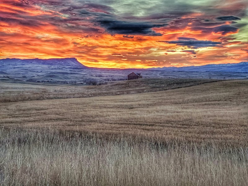 Montana Whitetails - Photo 6