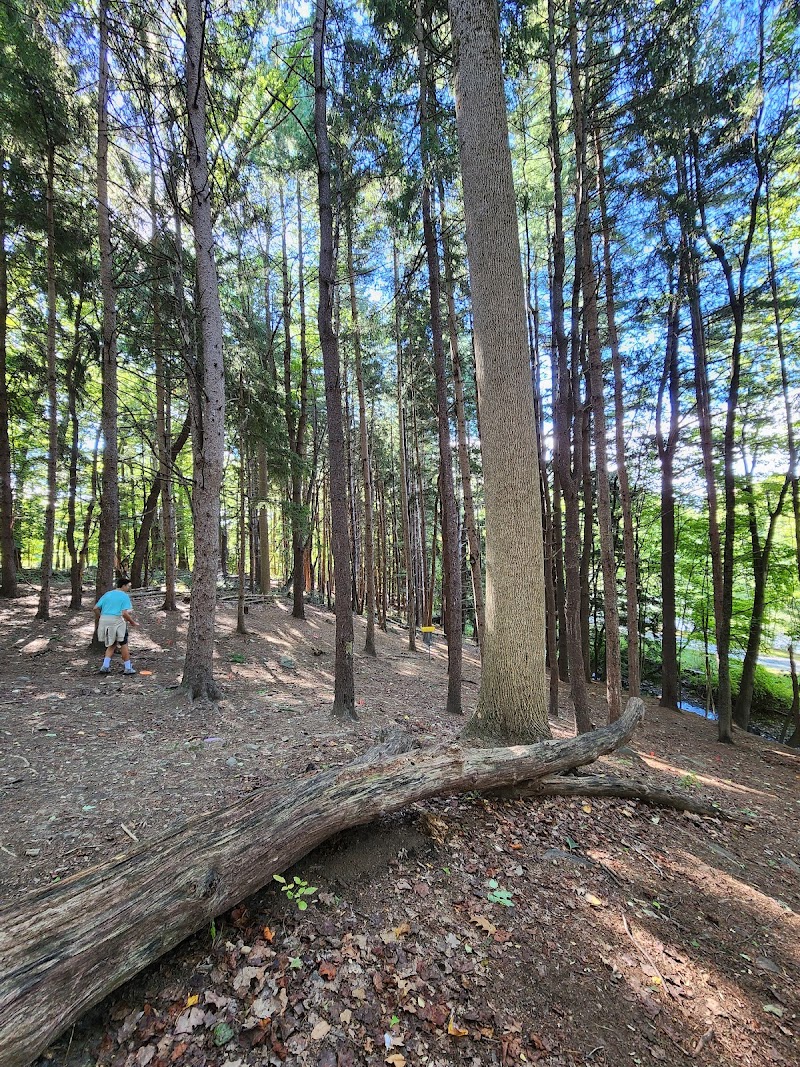 Central Park Disc GC photo 3